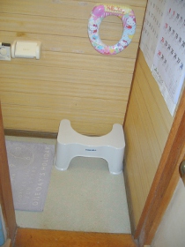 壬生町T様邸 トイレ増設/既存トイレリフォーム工事・他 ビフォー画像 No4
